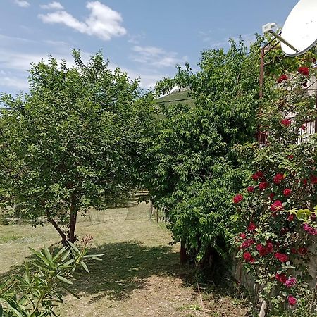 Apartment Natali Kastel Stari Екстер'єр фото